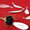 短信测试网站免费